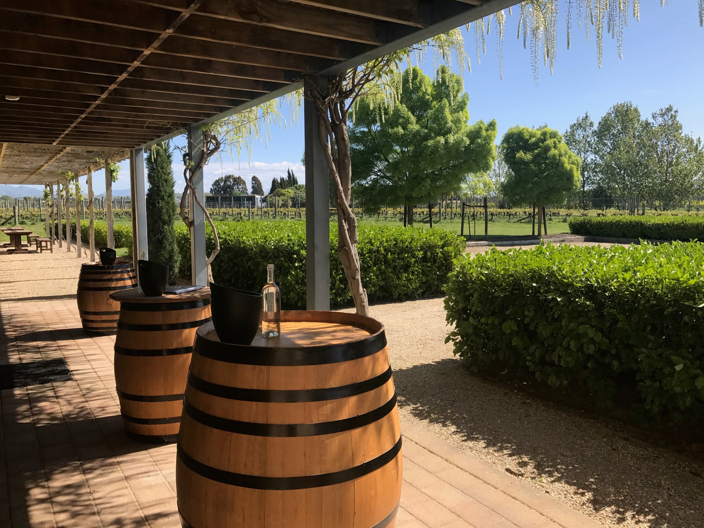 Book a Tasting Table